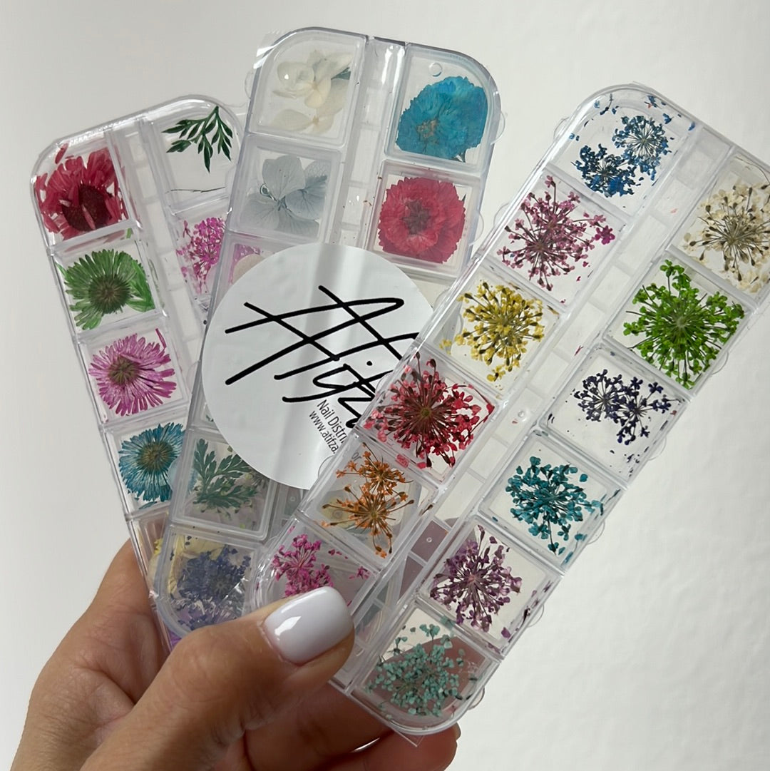 New York Fantasías - Flores de naturaleza muerta para decoración de uñas.  El paquetito incluye diversos tipos de flores, hojas, tallos y pétalos. . .  . #naturalezamuerta #floresparauñas #decoraciondeuñas #manicure #pedicure  #uñasacrilicas #